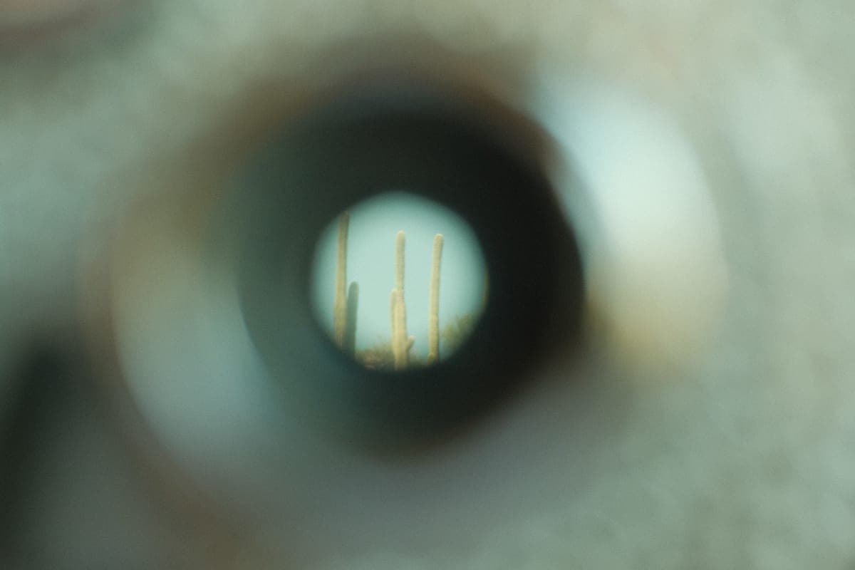 What NEW Managers Must Know to Avoid Failure!